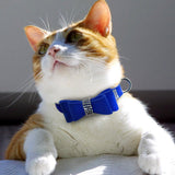 Rhinestone Dog and Cat Collars