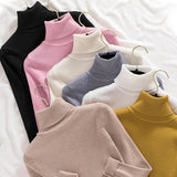 Women's Knitted (V and Turtle-Neck) Sweaters