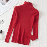 Women's Knitted (V and Turtle-Neck) Sweaters