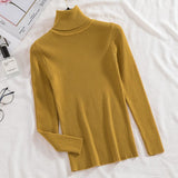 Women's Knitted (V and Turtle-Neck) Sweaters