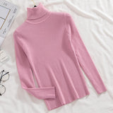 Women's Knitted (V and Turtle-Neck) Sweaters