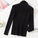 Women's Knitted (V and Turtle-Neck) Sweaters