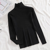 Women's Knitted (V and Turtle-Neck) Sweaters