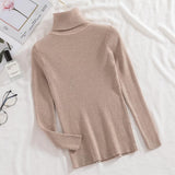 Women's Knitted (V and Turtle-Neck) Sweaters