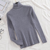 Women's Knitted (V and Turtle-Neck) Sweaters